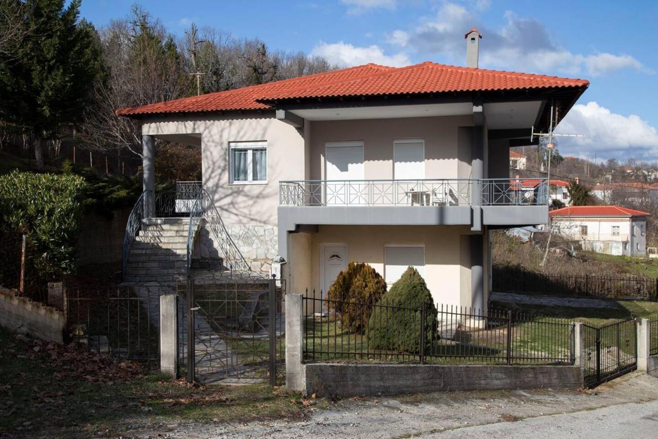 La Casa Dei Sogni - Great House Closed To Meteora Vlachava Extérieur photo